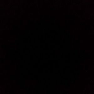 Meet your Posher, Laila